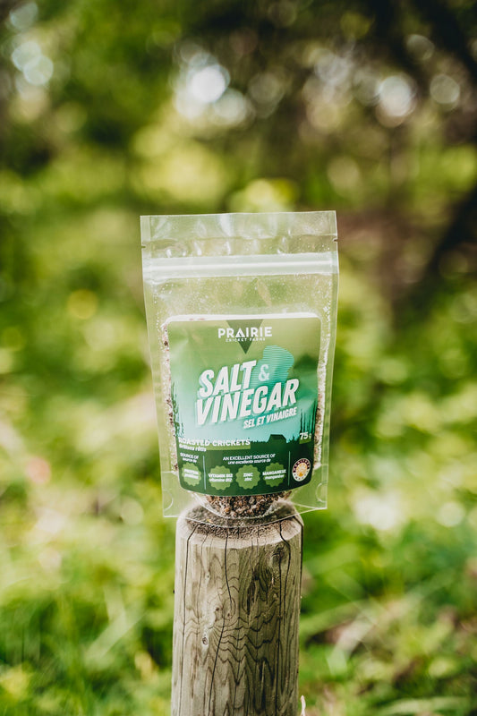 Roasted Crickets - Salt & Vinegar