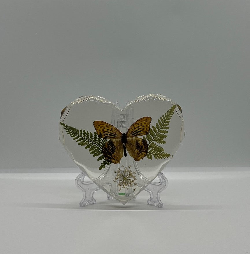 Real Preserved Butterfly