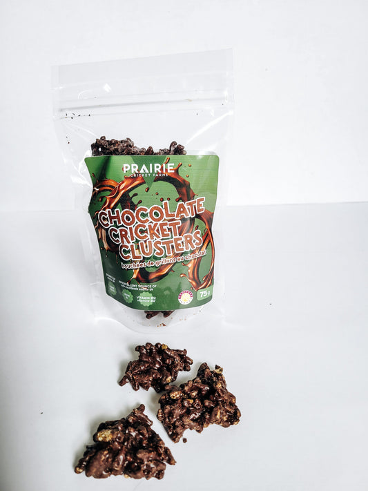 Chocolate Cricket Clusters