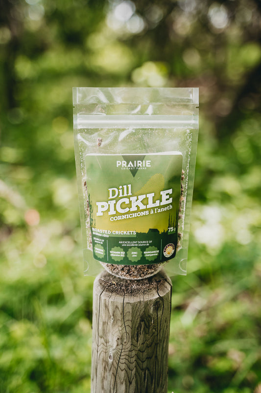 Roasted Crickets - Dill Pickle