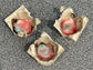 Fire Starters