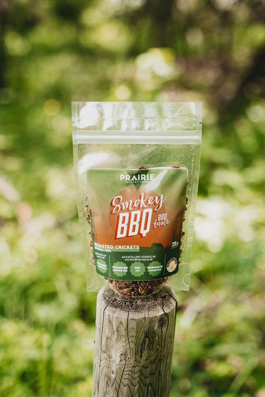Roasted Crickets - Smokey BBQ