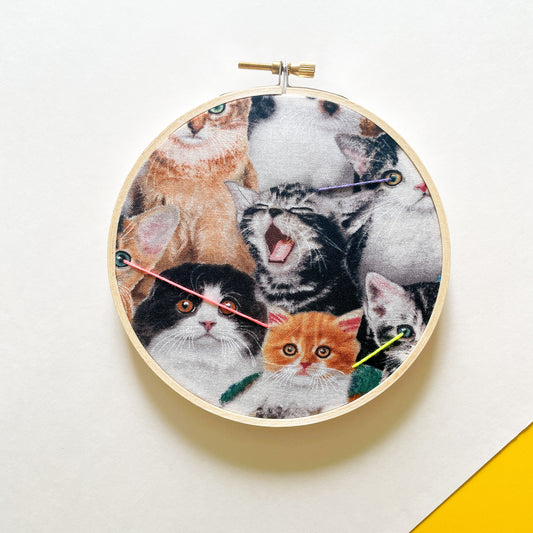 Laser Cats