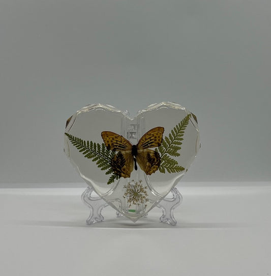 Real Preserved Butterfly